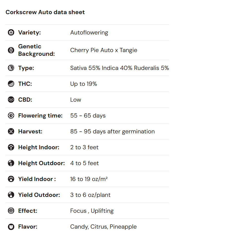 Royal Queen Seeds iGrowCan – Beginner-Friendly Autoflower Grow Kit