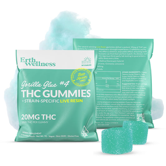 Hybrid Sample Bundle – Balanced Bliss Collection