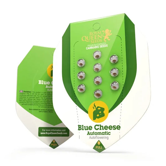 Royal Queen Seeds – Blue Cheese Auto Feminized Seeds (Cheese x Blueberry Auto)