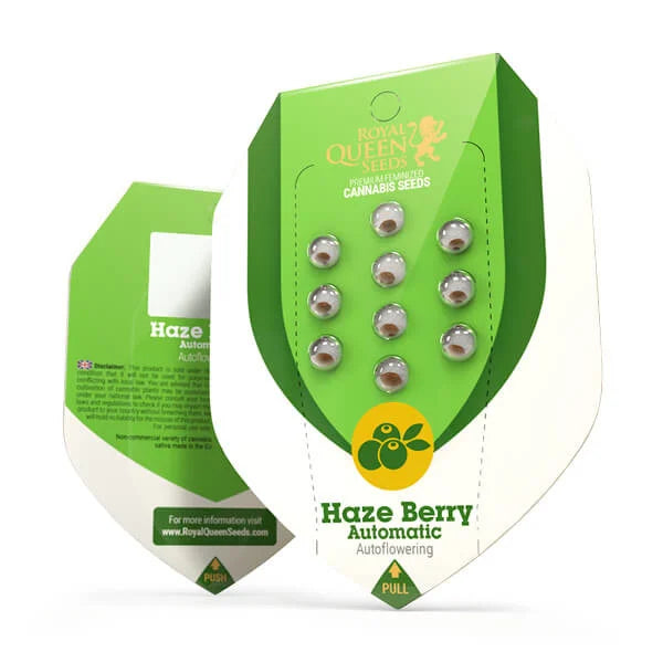 Royal Queen Seeds – Haze Berry Auto Feminized Seeds (Blue Dream–Inspired Sativa Auto)