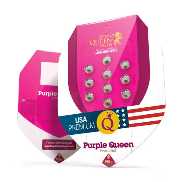 Royal Queen Seeds – Purple Queen Feminized Seeds (Purple Kush Hybrid)