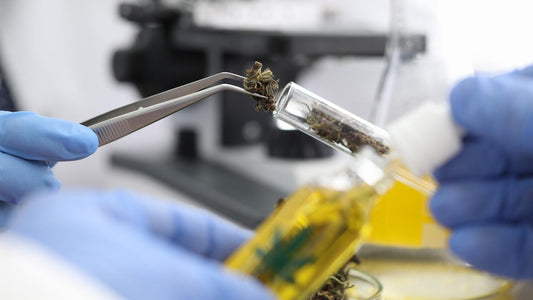 6 Benefits Of HHC Cannabinoid - Erth Wellness