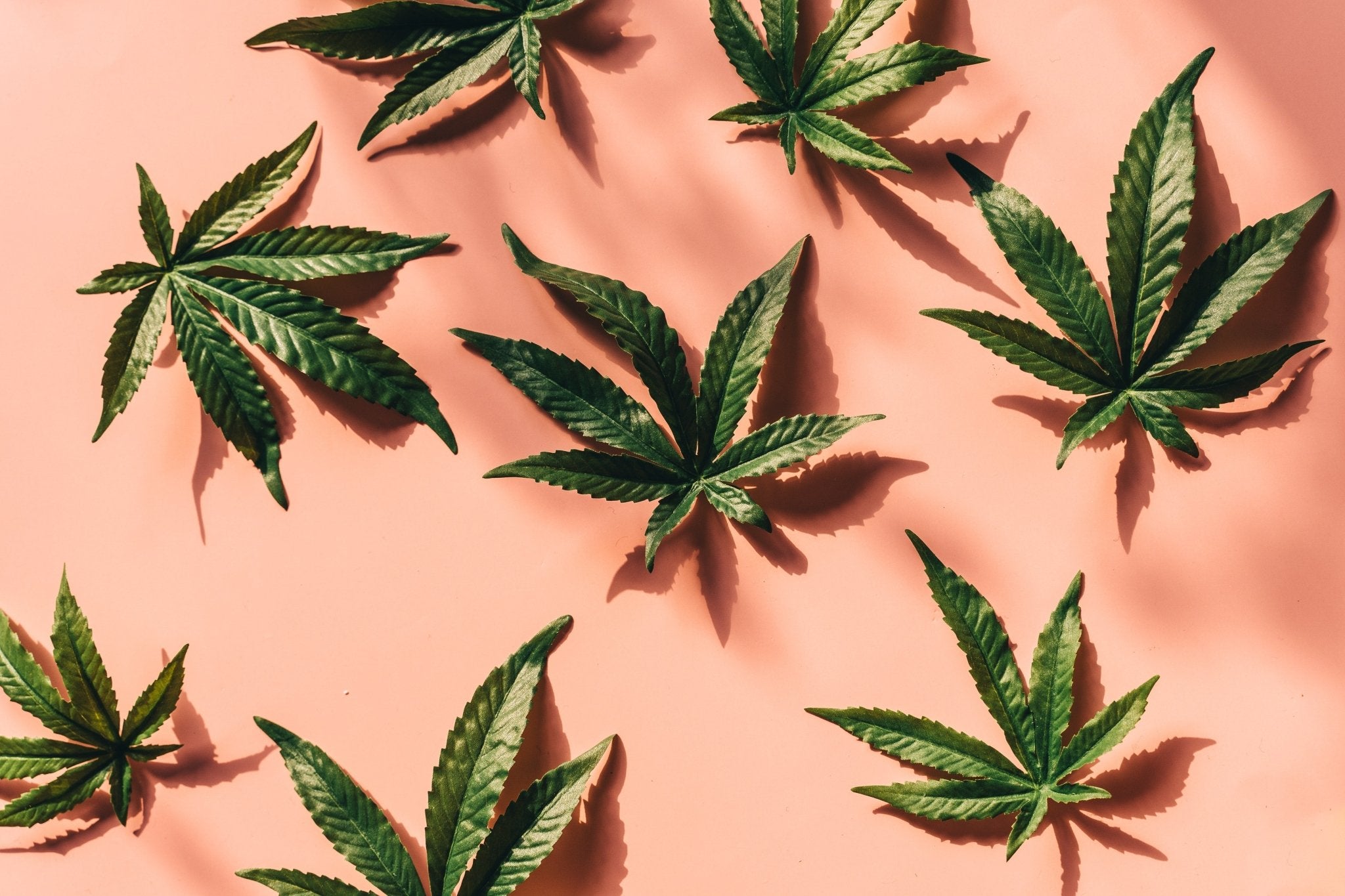 CBD vs. CBG vs. CBN: What Are They Good For? - Erth Wellness