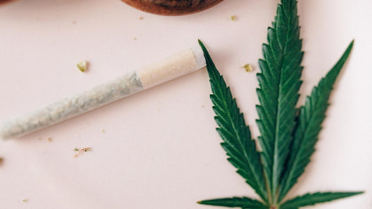 Effects of THC You Should Know - Erth Wellness