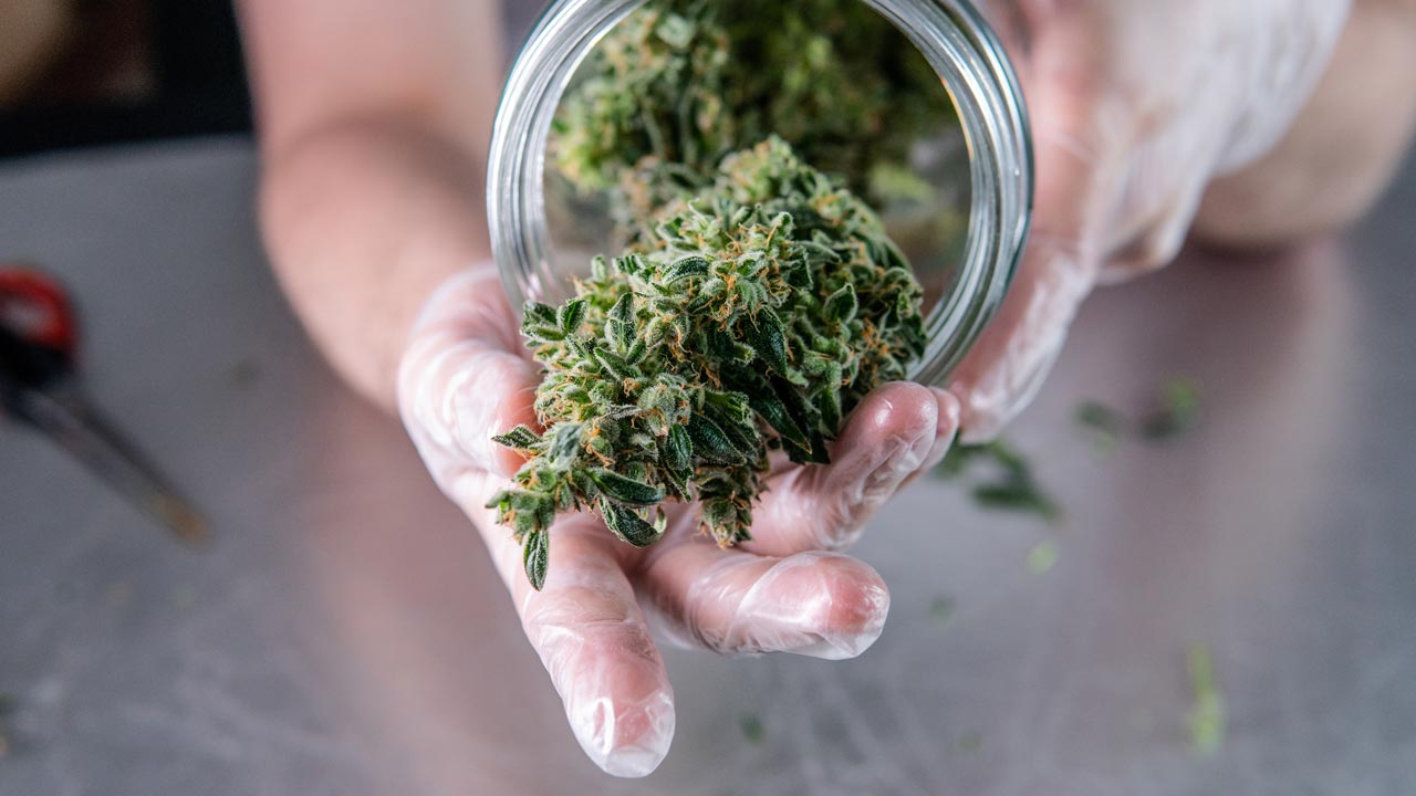 How THC Affects Your Brain - Erth Wellness