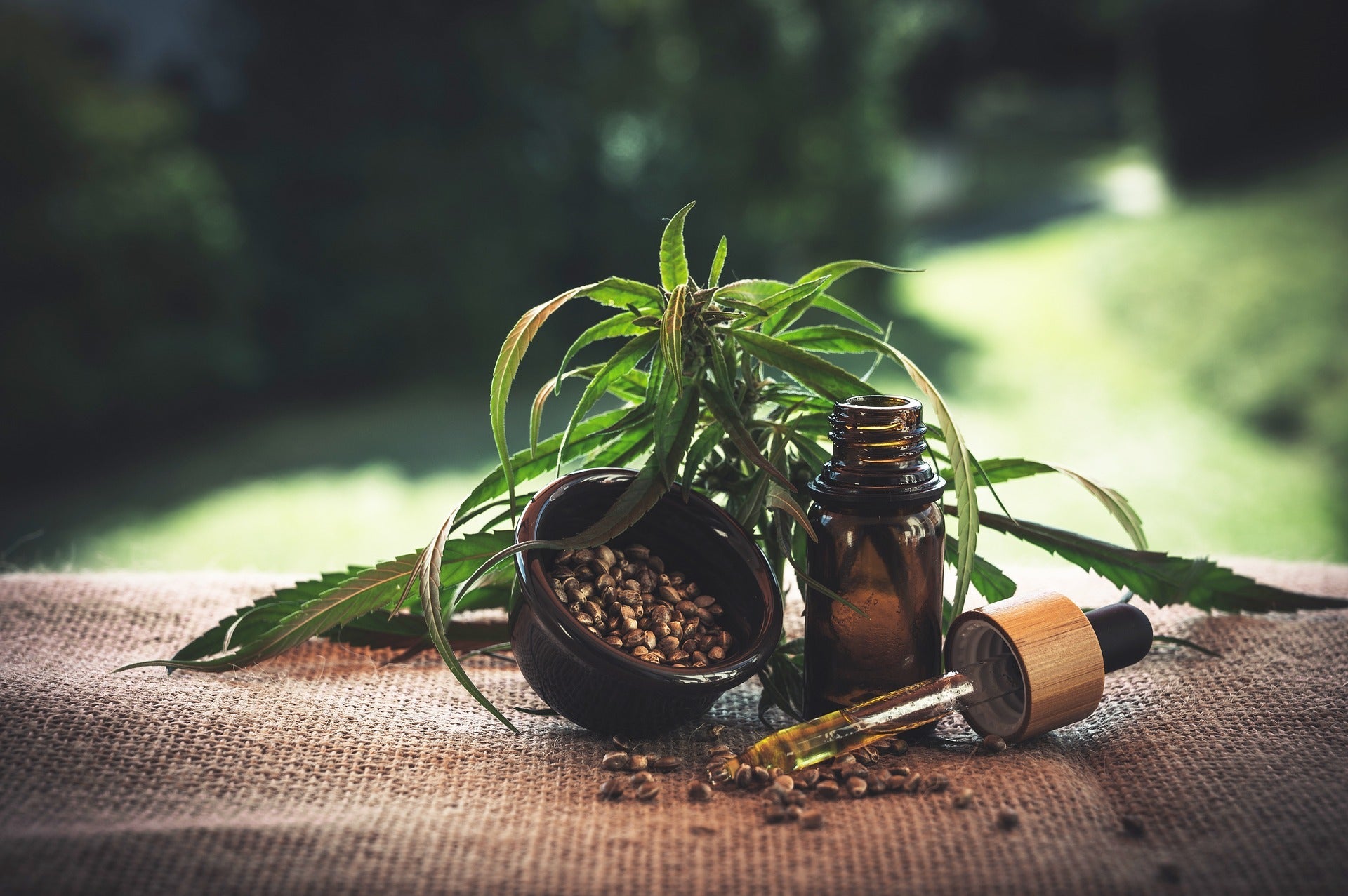 How To Pick the Best CBD Tincture/Oil and What To Look For! - Erth Wellness