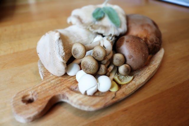 L-Theanine in Mushrooms