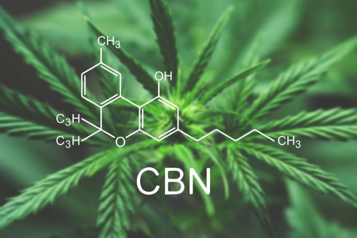 Is CBN Legal in the US? - Erth Wellness