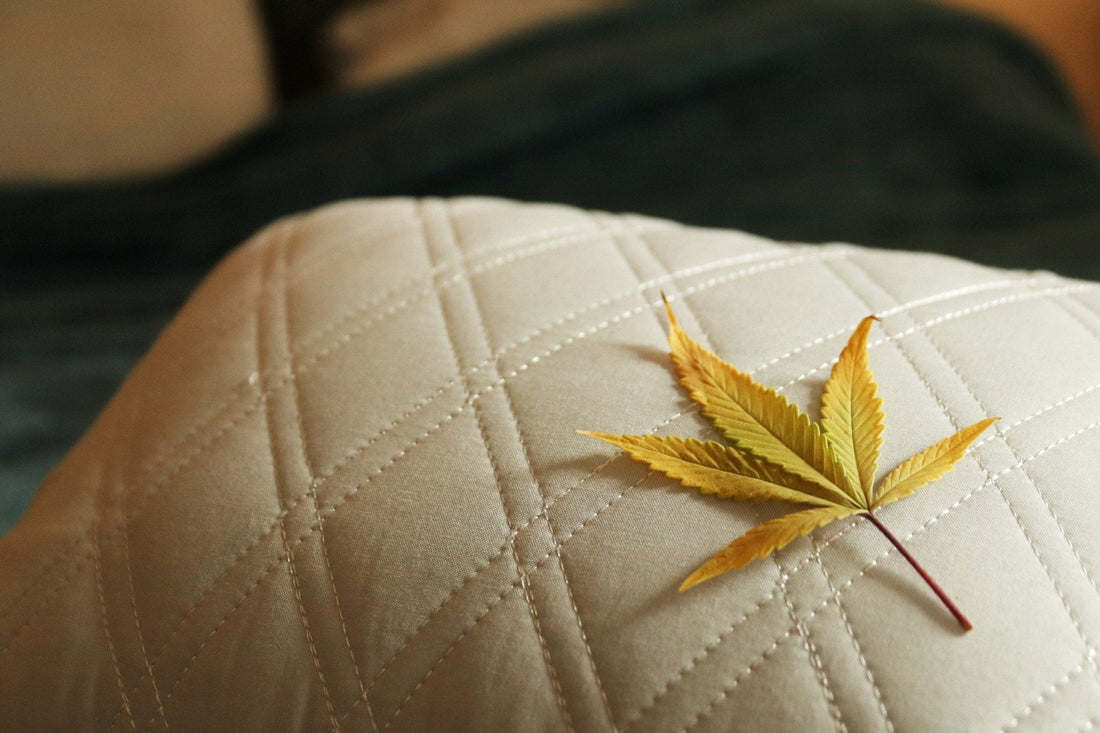 Our Top CBD Products For Sleep - Erth Wellness