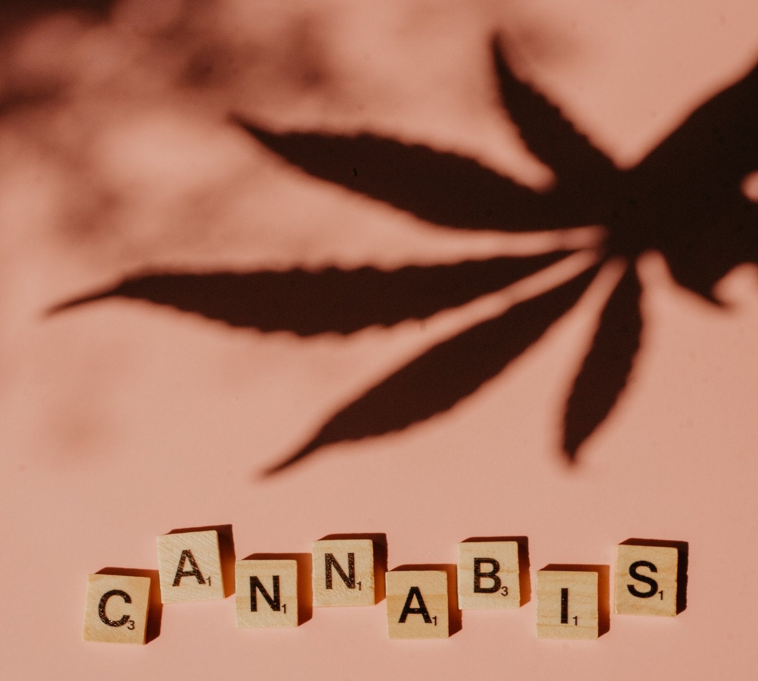 Understanding The Difference Between Indica & Sativa Strains - Erth Wellness