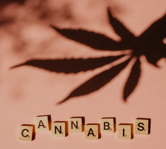 Understanding The Difference Between Indica & Sativa Strains - Erth Wellness