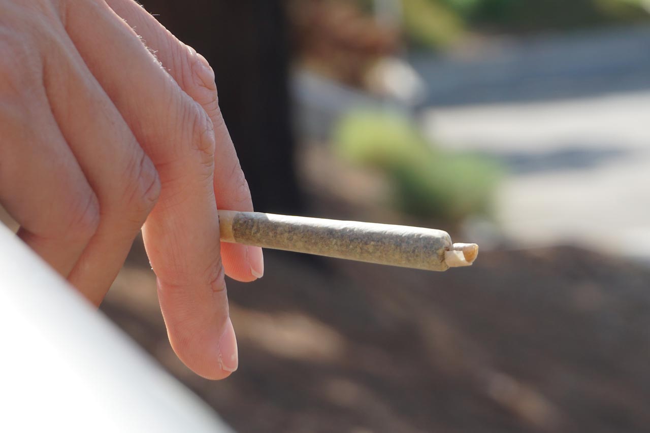 What Should You Look For In CBD Pre-Rolls? - Erth Wellness