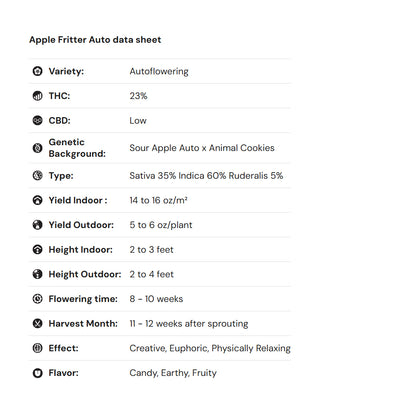 Royal Queen Seeds iGrowCan – Beginner-Friendly Autoflower Grow Kit
