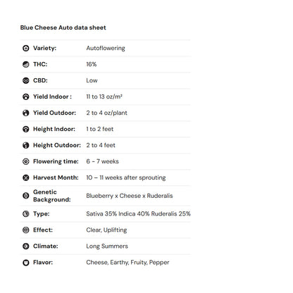 Royal Queen Seeds iGrowCan – Beginner-Friendly Autoflower Grow Kit