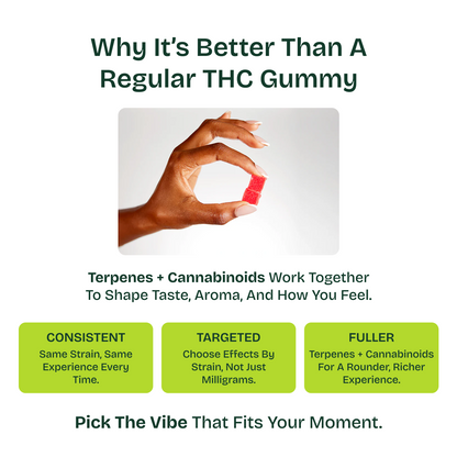 Δ9 THC Gummies – Pineapple Express (Sativa) | Strain Specific | Pineapple (300mg)
