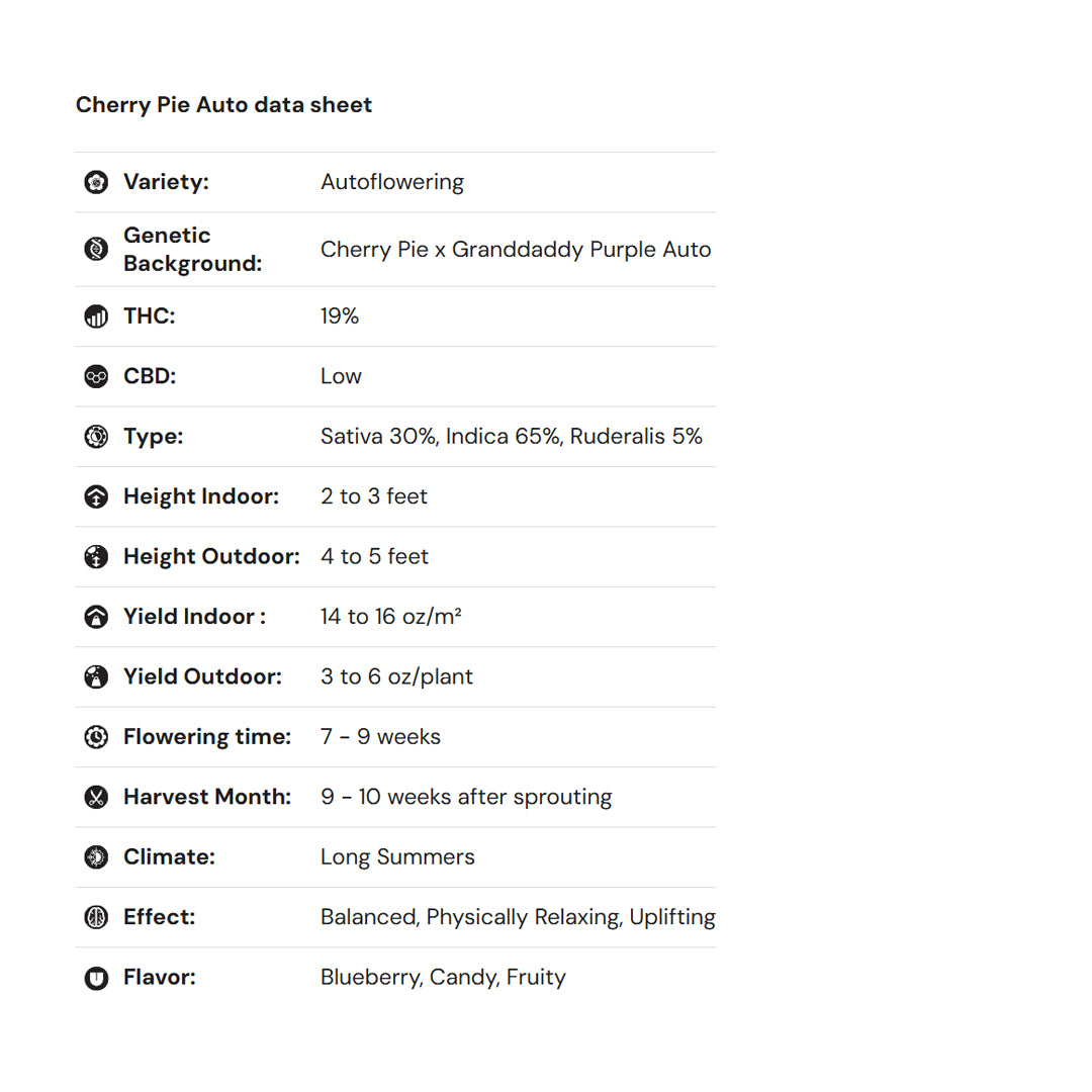 Royal Queen Seeds iGrowCan – Beginner-Friendly Autoflower Grow Kit