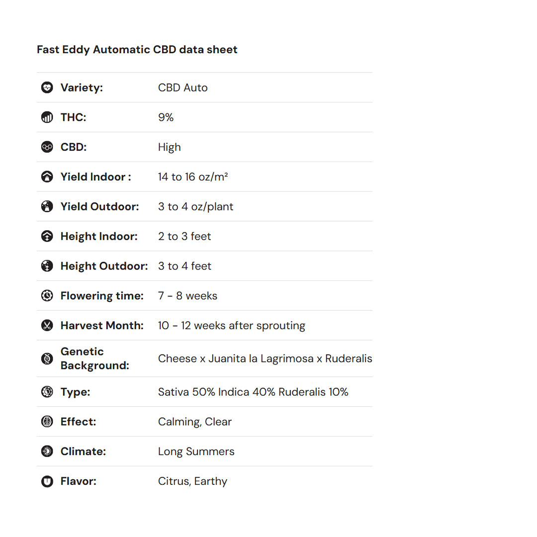 Royal Queen Seeds iGrowCan – Beginner-Friendly Autoflower Grow Kit