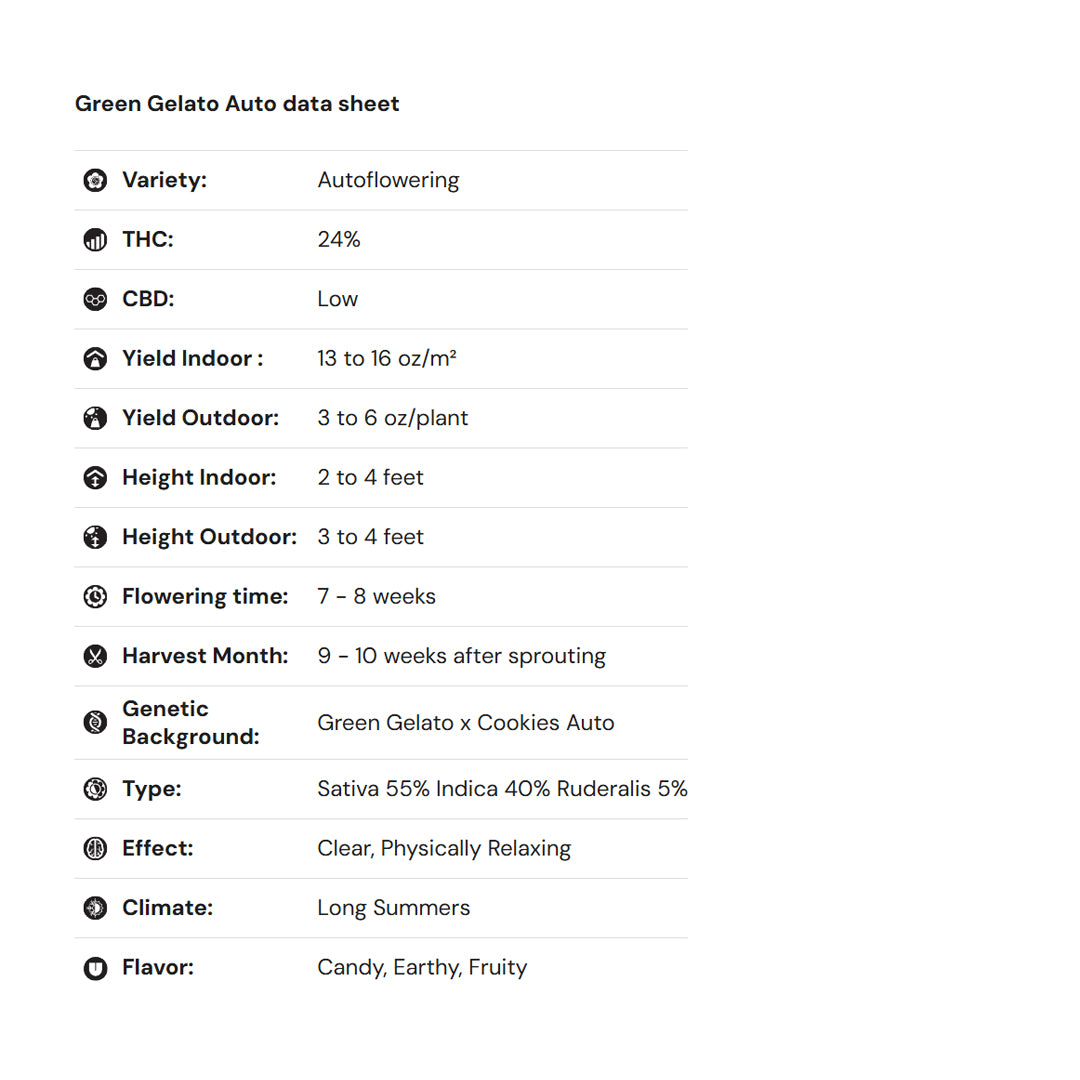 Royal Queen Seeds iGrowCan – Beginner-Friendly Autoflower Grow Kit