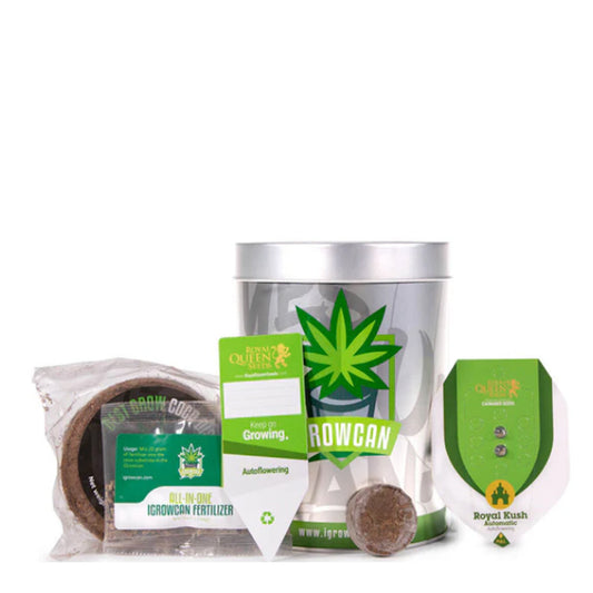 Royal Queen Seeds iGrowCan – Beginner-Friendly Autoflower Grow Kit