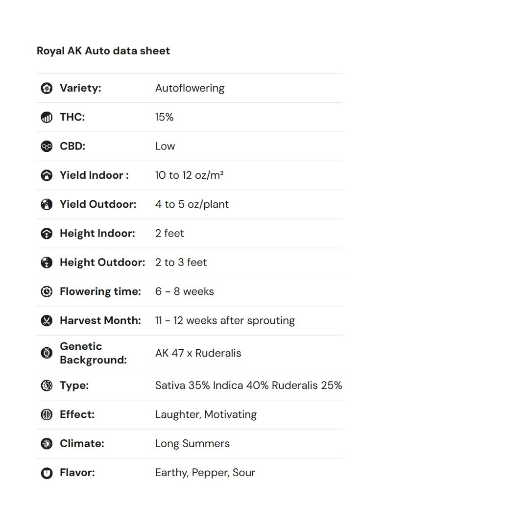 Royal Queen Seeds iGrowCan – Beginner-Friendly Autoflower Grow Kit