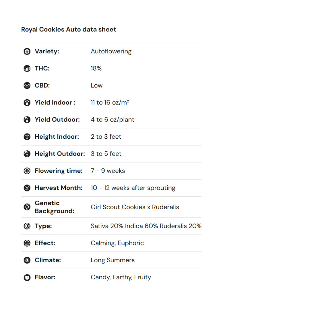 Royal Queen Seeds iGrowCan – Beginner-Friendly Autoflower Grow Kit