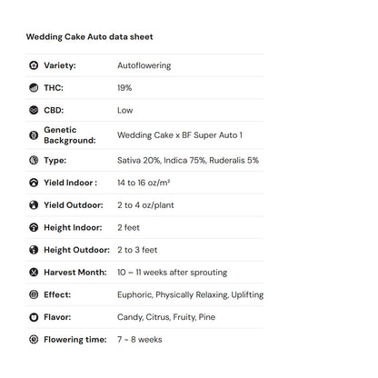 Royal Queen Seeds iGrowCan – Beginner-Friendly Autoflower Grow Kit