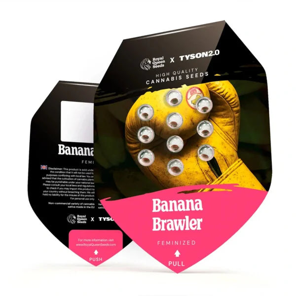 Royal Queen Seeds – Banana Brawler Feminized Seeds (Gelatti x Blue Power | Tyson 2.0 Collab) – 3 Seeds