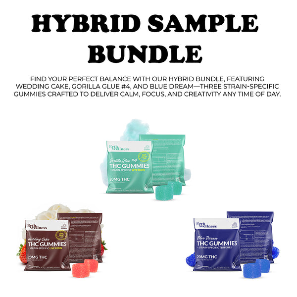 Hybrid Sample Bundle – Balanced Bliss Collection