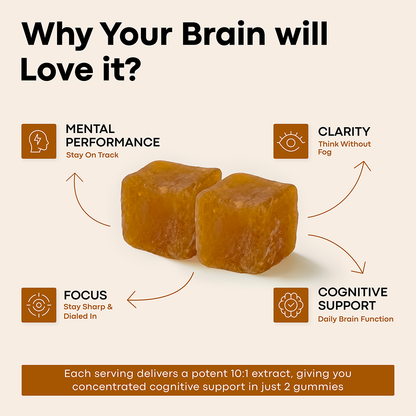 Lion’s Mane Nootropic Gummies by Erth Wellness – 10:1 Fruiting Body Extract – Cognitive Support