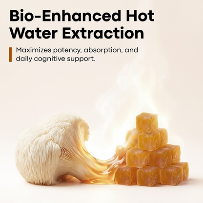 Lion’s Mane Nootropic Gummies by Erth Wellness – 10:1 Fruiting Body Extract – Cognitive Support