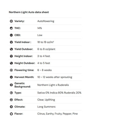 Royal Queen Seeds iGrowCan – Beginner-Friendly Autoflower Grow Kit