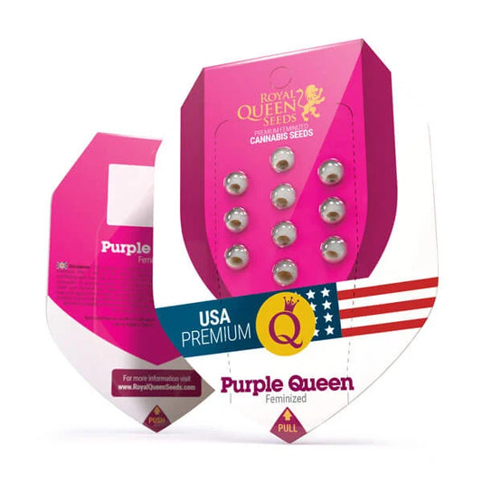 Royal Queen Seeds – Purple Queen Feminized Seeds (Purple Kush Hybrid)