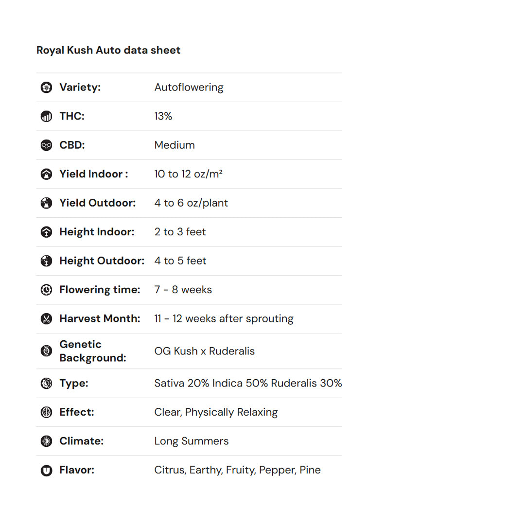 Royal Queen Seeds iGrowCan – Beginner-Friendly Autoflower Grow Kit