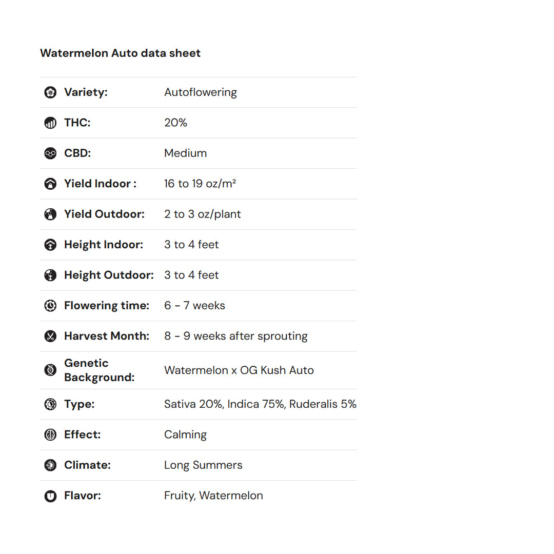 Royal Queen Seeds iGrowCan – Beginner-Friendly Autoflower Grow Kit