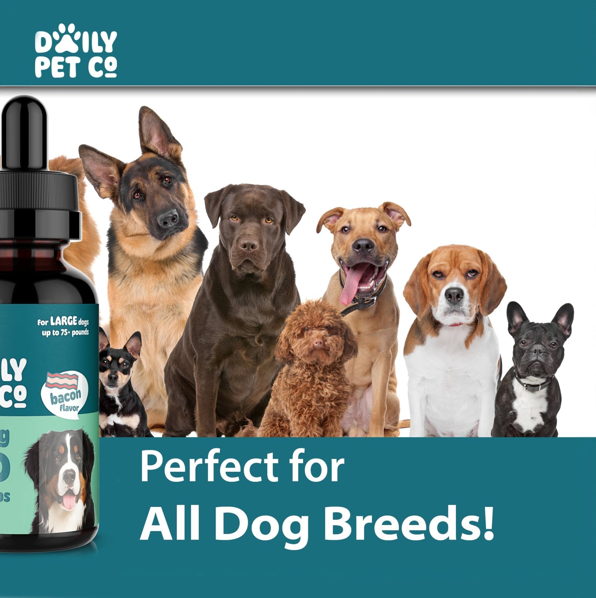 Bacon Flavored CBD Oil for Dogs | Full Spectrum CBD Pet Drops Erth Wellness Bacon Flavored CBD Oil for Dogs | Full Spectrum CBD Pet Drops Erth Wellness